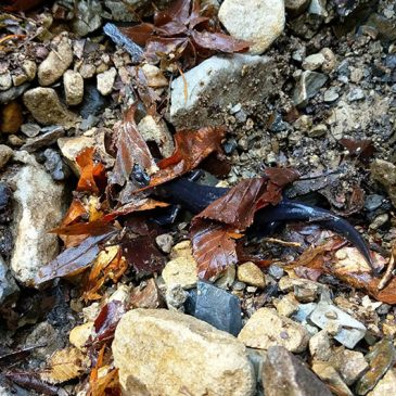 場所だけ決まりました！