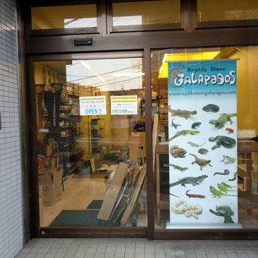 オープンまであと1週間！？