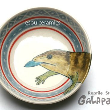 お知らせいろいろ