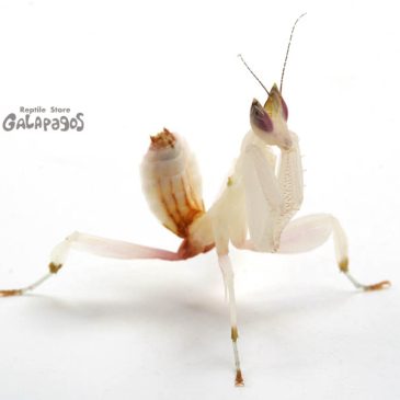 あなたは、もう狙われている