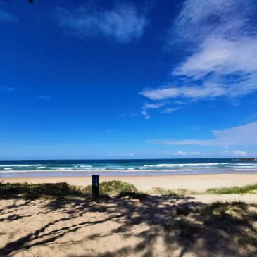 オーストラリア旅行記・その4　～ヌーサヘッズ＆マウントグローリアス編～