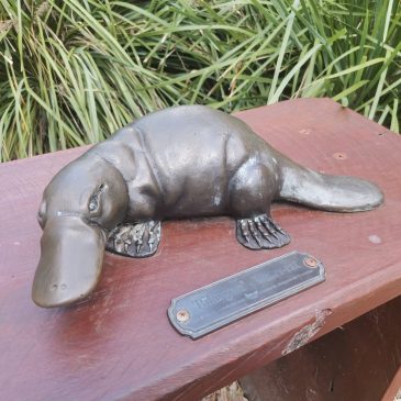 オーストラリア旅行記・その5　～ローンパインコアラサンクチュアリ＆トゥーイーフォレストパーク編～