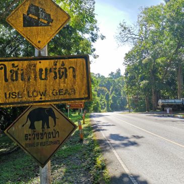 タイ旅行記2023・その１　～カオヤイの朝～